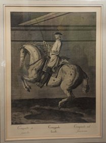 ridinger-johann-elias-reitschule.1