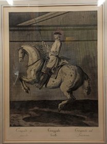 ridinger-johann-elias-reitschule.7