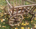 leiterwagen.6