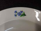 meissen-teller-alt-um-1820-30-blumenmalerei.6