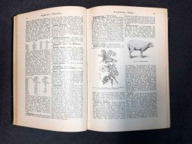 illustriertes-landwirschaftslexikon-1900-guido-krafft-paul-parey-verlagsbuchh.10