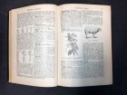 illustriertes-landwirschaftslexikon-1900-guido-krafft-paul-parey-verlagsbuchh.10