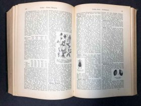 illustriertes-landwirschaftslexikon-1900-guido-krafft-paul-parey-verlagsbuchh.8