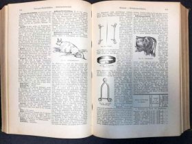 illustriertes-landwirschaftslexikon-1900-guido-krafft-paul-parey-verlagsbuchh.9