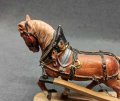 IMG_20230726_180018