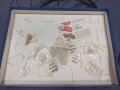 IMG_20230929_132430