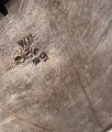 IMG_20231212_163539