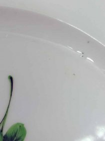 IMG_20240301_173804