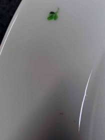 IMG_20240301_173816