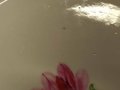 IMG_20240301_173543