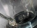 IMG_20240411_160551