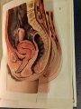 IMG_20240405_181028