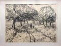 IMG_20250605_172916