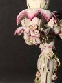 IMG_20250214_150828