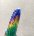 IMG_20250704_143032