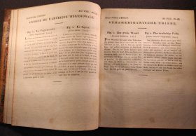 bertuch-bilderbuch-fuer-kinder-1813-8-band-carl-bertuch.3