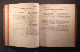 bertuch-bilderbuch-fuer-kinder-1813-8-band-carl-bertuch.4