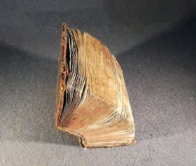 busenbaum-medulla-theologiae-moralis