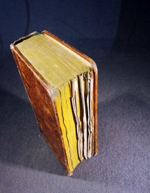 die-erde-und-ihre-bewohner-ein-geographisches-bilderbuch-1811-f-p-wilmsen.12