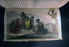 die-erde-und-ihre-bewohner-ein-geographisches-bilderbuch-1811-f-p-wilmsen.9