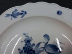 meissen-grosser-teller-insekten-und-blumen-um-1860.3