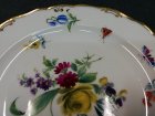 meissen-um-1880-insekten-u-blumenmalerei-teller-knaufzeit.4