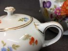 kaffeeservice-rosenthal-balmoral-blumenmalerei-buketts-und-gold.10