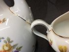 kaffeeservice-rosenthal-balmoral-blumenmalerei-buketts-und-gold.9