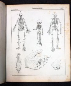 systematische-bildergalerie-zur-allg-dt-real-encyclopaedie-um-1830-m-vielen-lithos.10