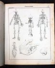 systematische-bildergalerie-zur-allg-dt-real-encyclopaedie-um-1830-m-vielen-lithos.10