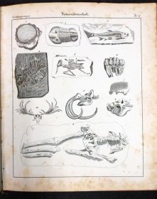 systematische-bildergalerie-zur-allg-dt-real-encyclopaedie-um-1830-m-vielen-lithos.13