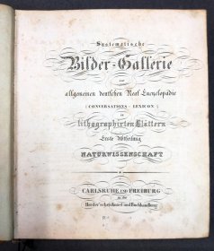 systematische-bildergalerie-zur-allg-dt-real-encyclopaedie-um-1830-m-vielen-lithos