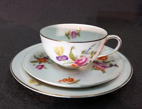 teeservice-rosenthal-balmoral-blumenmalerei-buketts-und-gold.4