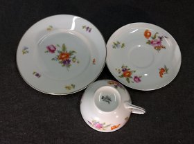 teeservice-rosenthal-balmoral-blumenmalerei-buketts-und-gold.5
