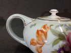 teeservice-rosenthal-balmoral-blumenmalerei-buketts-und-gold.9